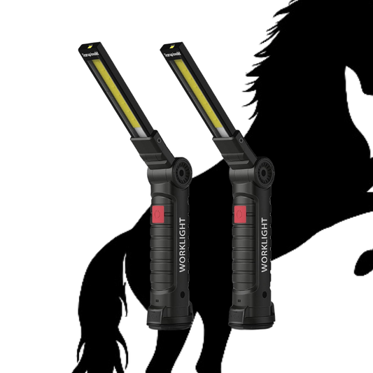 Lampe de Poche LED