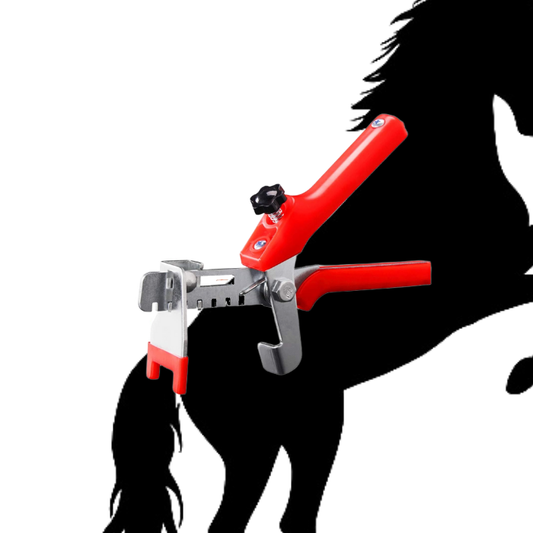 Pistolet pour Calle