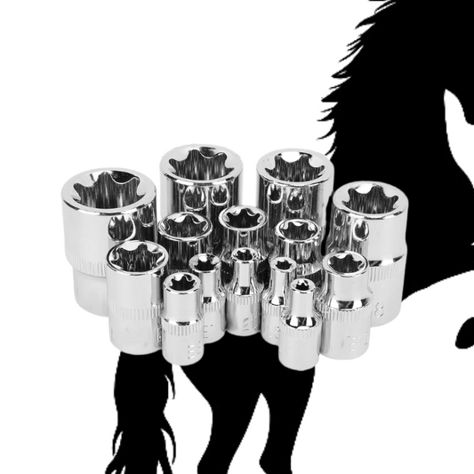 Douilles 13 pcs
