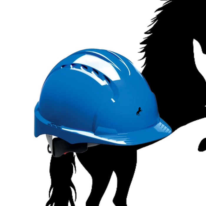 Casque de sécurité ENS