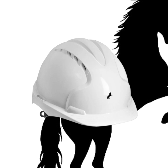 Casque de sécurité ENS