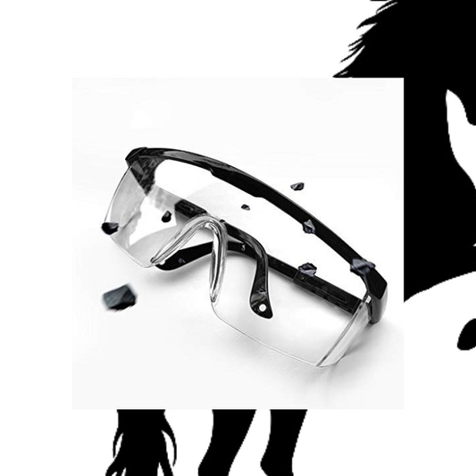 Lunette de Sécurité 2 pcs